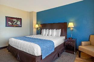 Photo of Others in Downtown Hartford