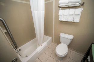 Photo of Others in Galloway