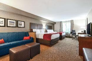 Photo of Others in Galloway