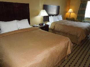 Photo of Others in Galloway