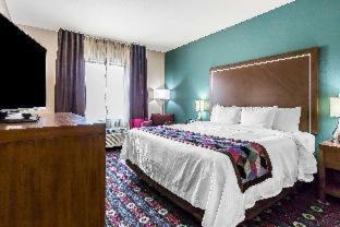 Photo of Others in Newcastle