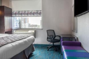 Photo of Others in West Bronx