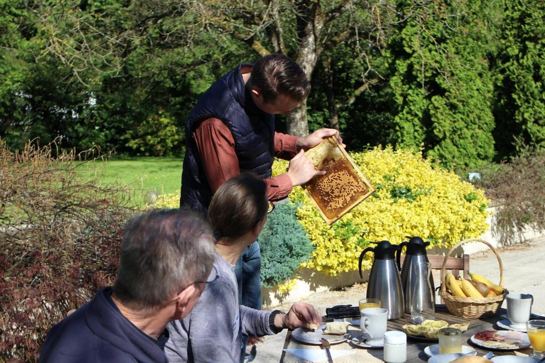 Photo of Others in Petit-Rederching