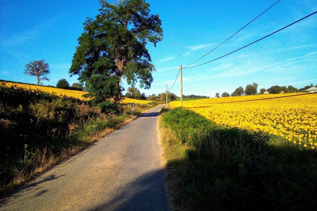 Photo of Others in Saint-Palais