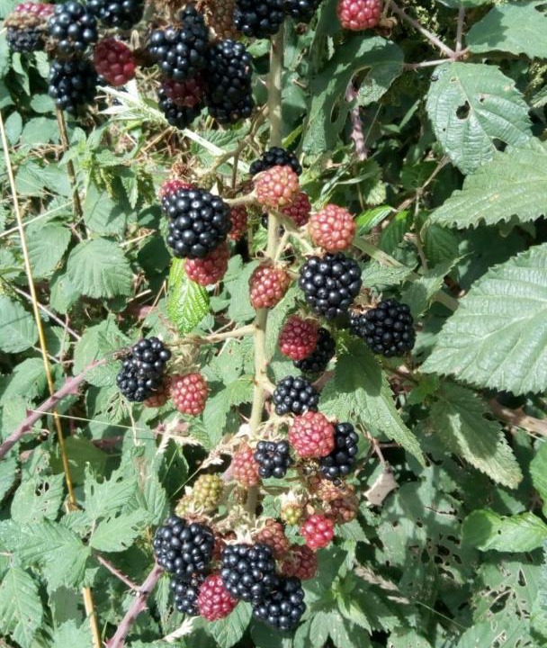 Photo of Others in Saint-Palais