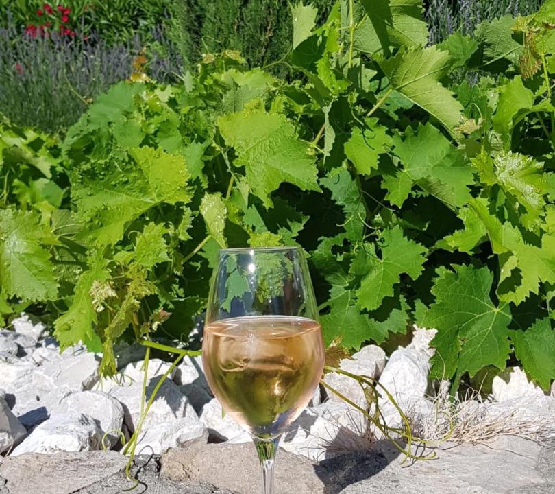 Photo of Others in Sorgues