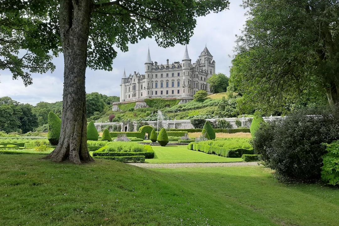 Photo of Others in Balnain