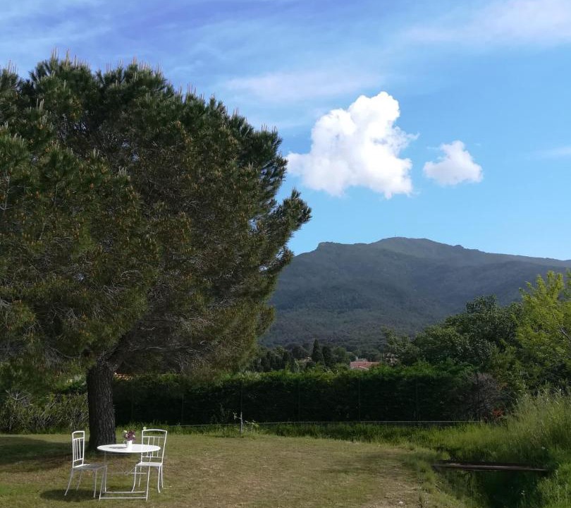 Photo of Others in Laroque-des-Alberes