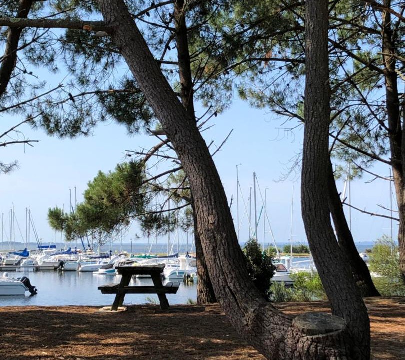 Photo of Others in Hourtin Port