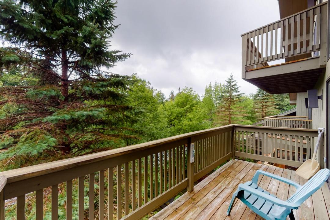 Photo of Others in Bromley Mountain