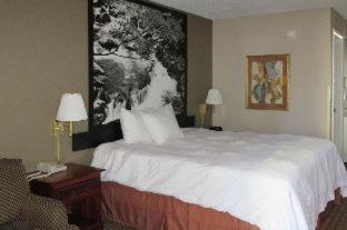 Photo of Bedroom in Manchester