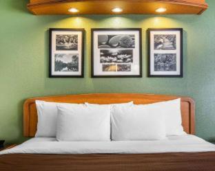 Photo of Bedroom in Albemarle