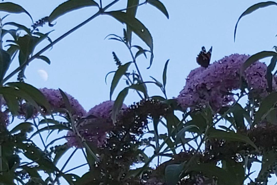 Photo of Others in Kutzenhausen