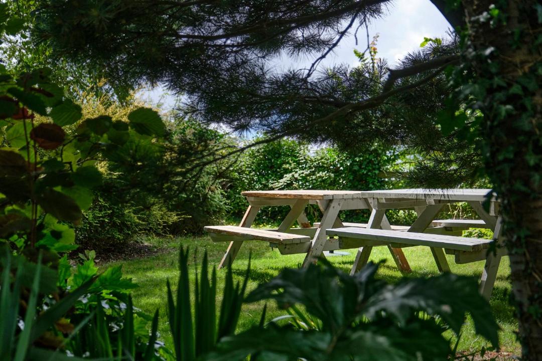 Photo of Others in Westleton