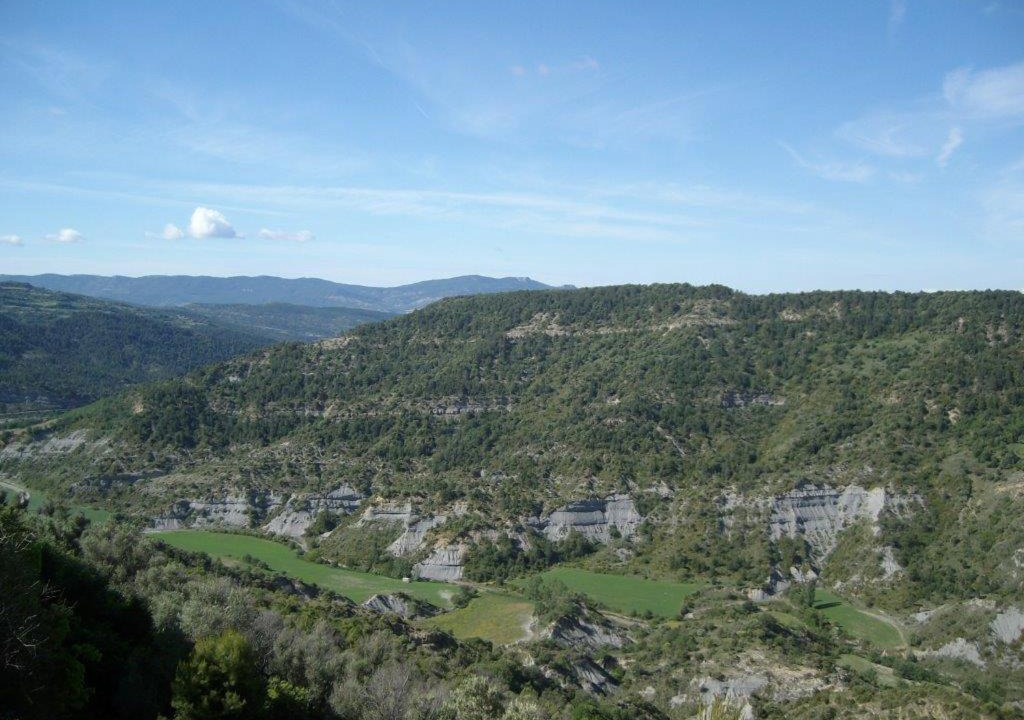 Photo of Others in Roda de Isabena
