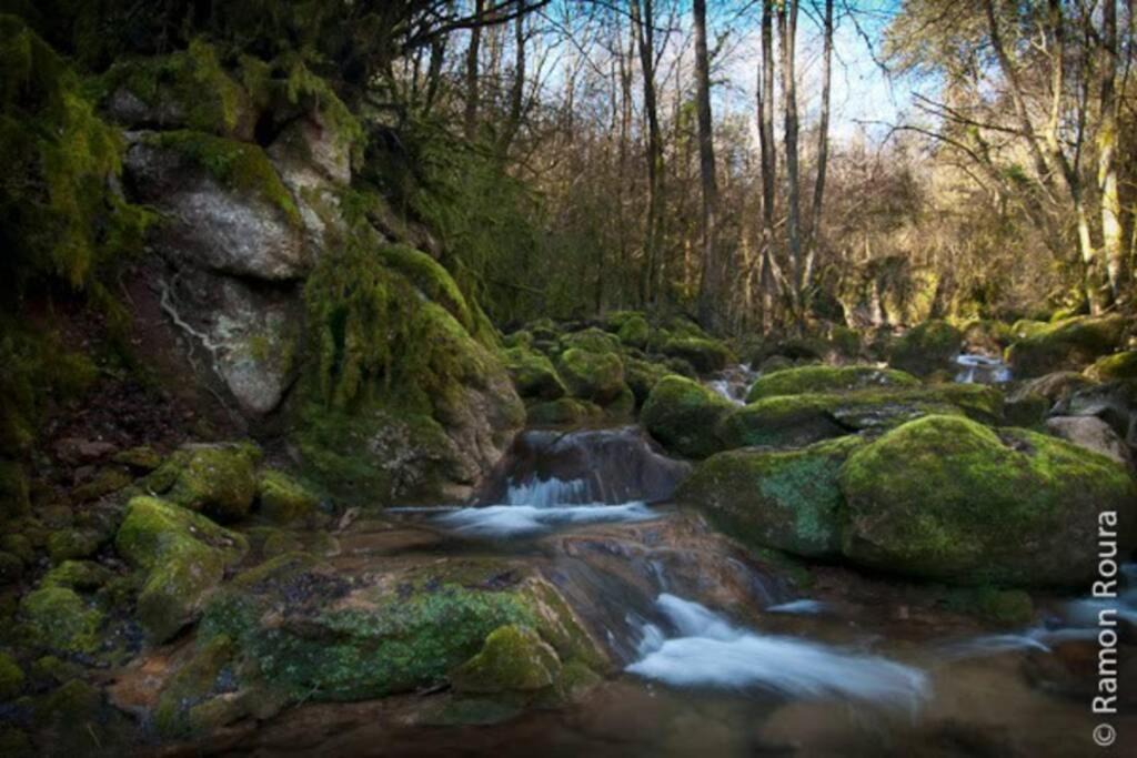 Photo of Outdoor in Riudaura