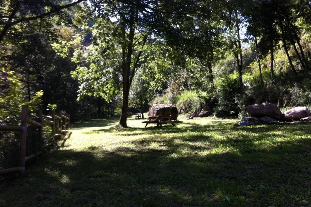 Photo of Outdoor in Riudaura