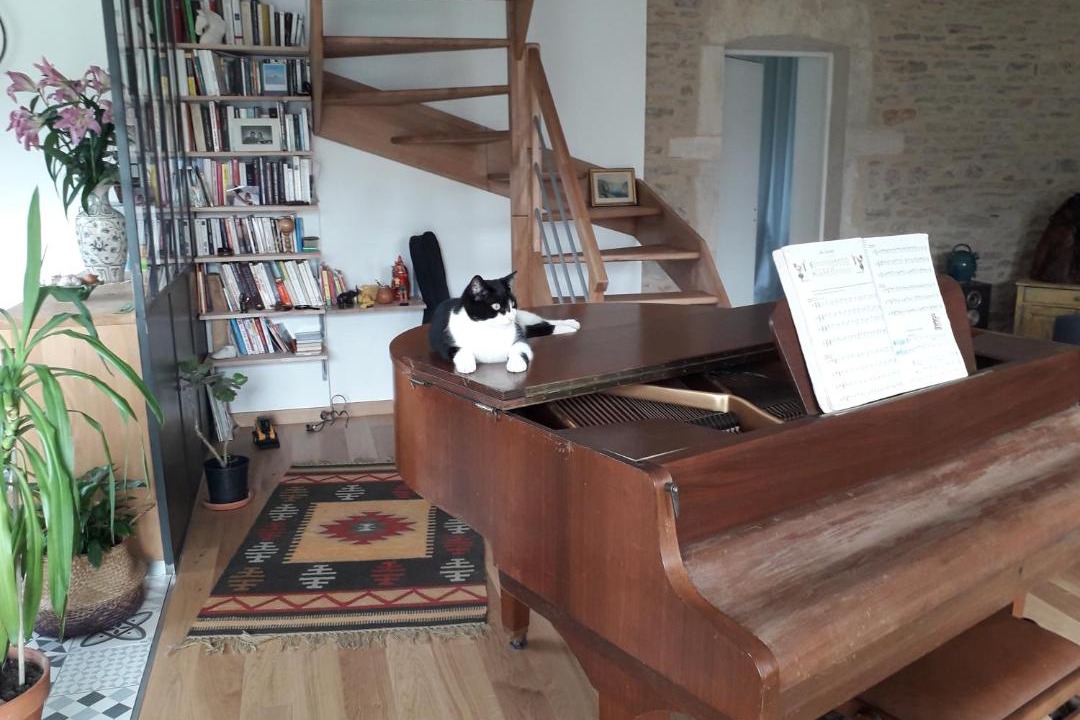 Photo of Others in Jalogny