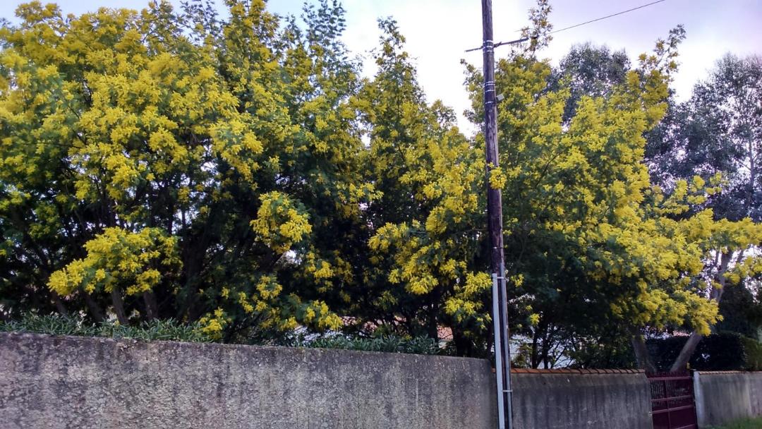 Photo of Others in Le Chateau-d'Oleron