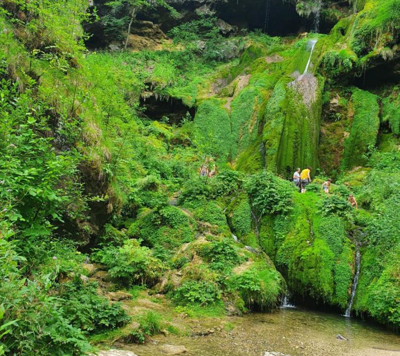 Photo of Others in Plateau de Valdahon