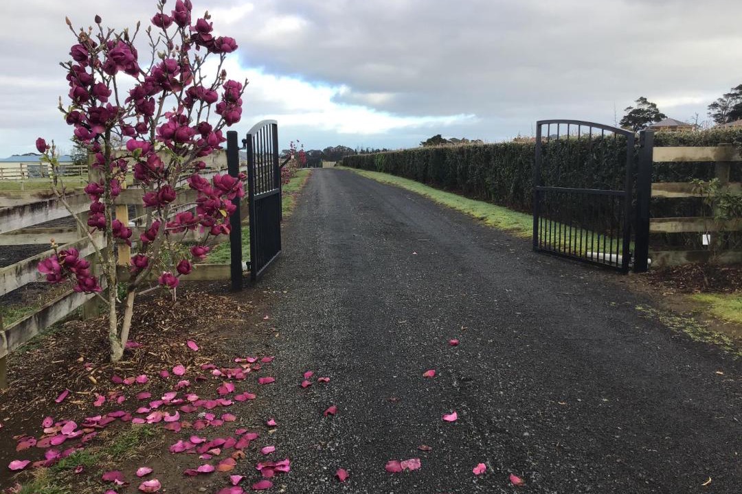 Photo of Others in Buckland