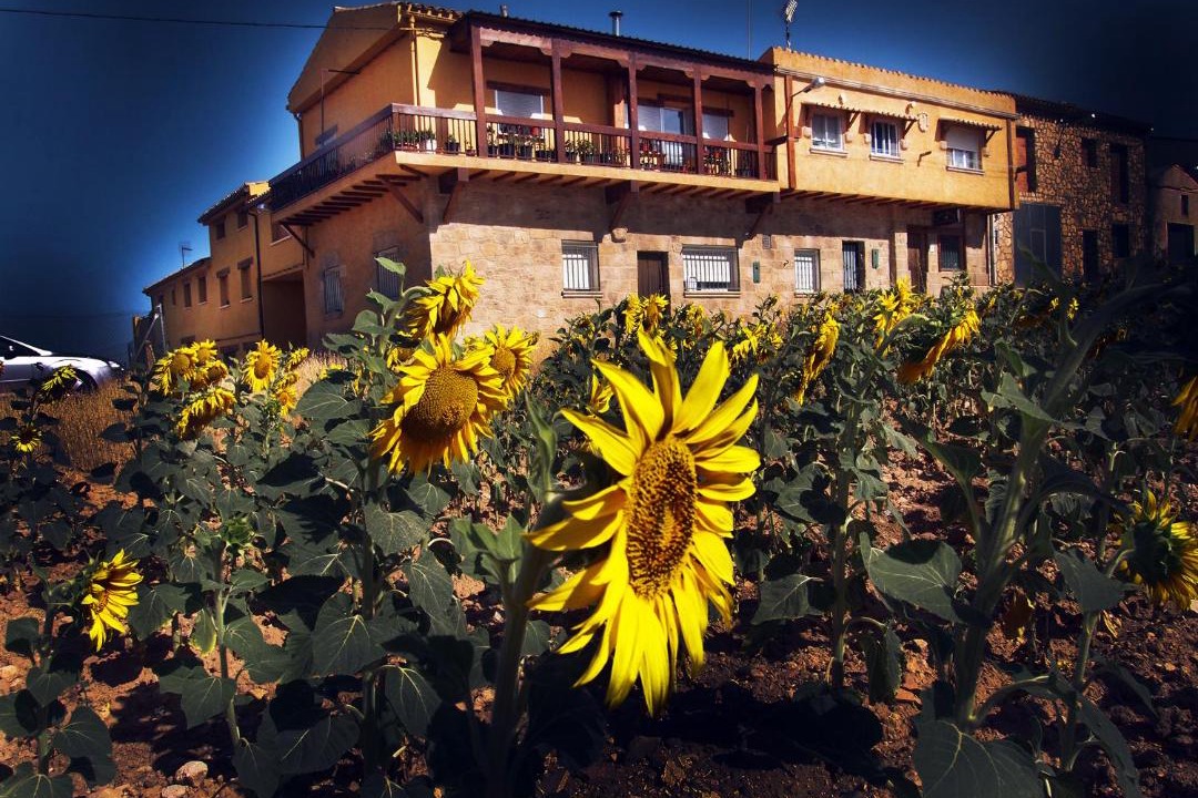 Photo of Others in La Melgosa