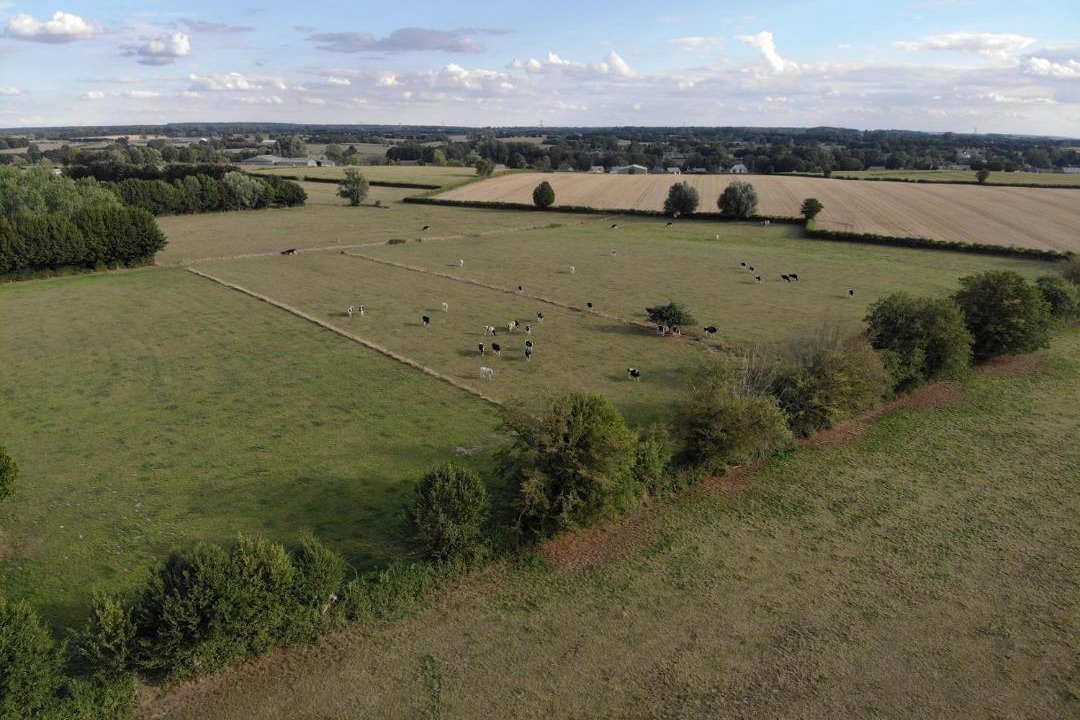 Photo of Others in Esqueheries