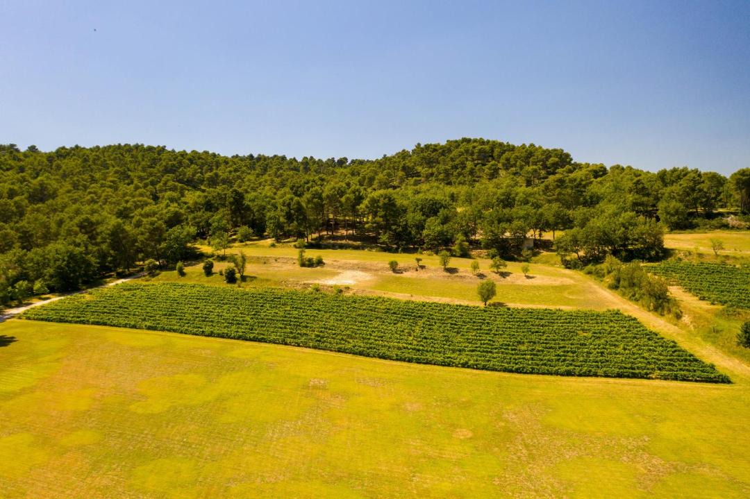 Photo of Others in Villelaure