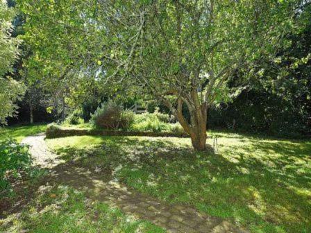 Photo of Others in Mount Dandenong