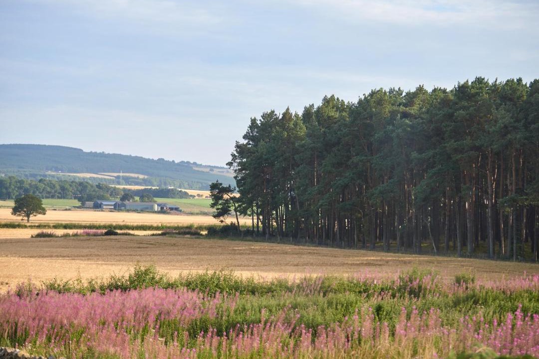 Photo of Outdoor in Forres