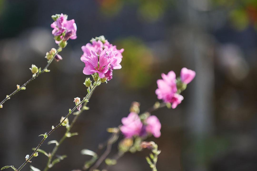 Photo of Others in Forres