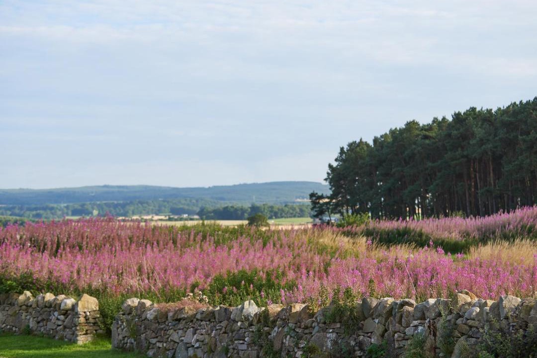 Photo of Outdoor in Forres