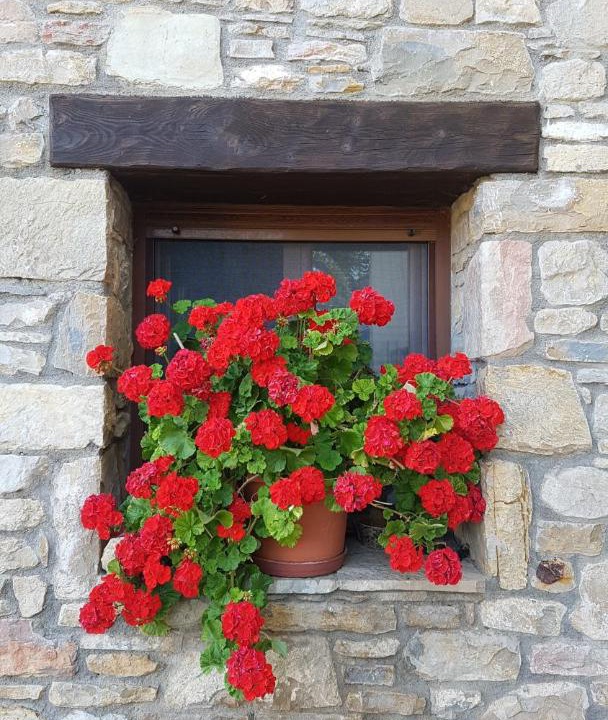 Photo of Others in Valle de Lierp