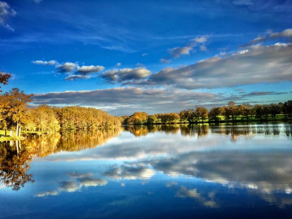 Photo of Others in Cromac