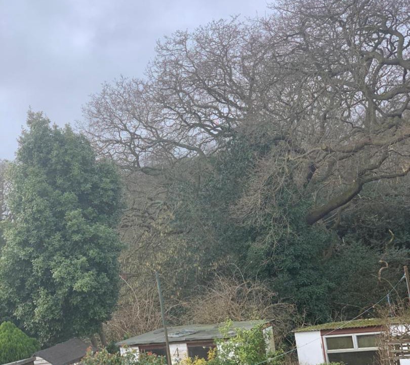 Photo of Outdoor in Belvedere