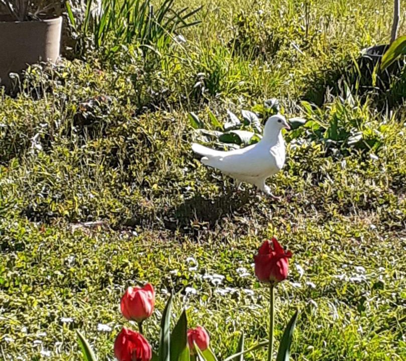 Photo of Others in Saumur Val de Loire