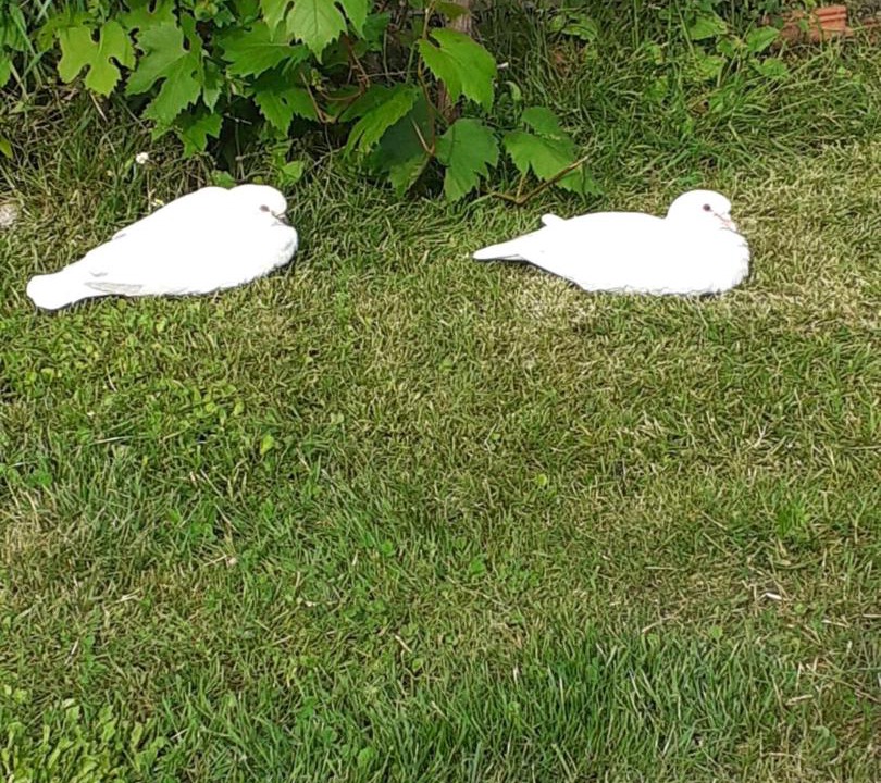 Photo of Others in Saumur Val de Loire