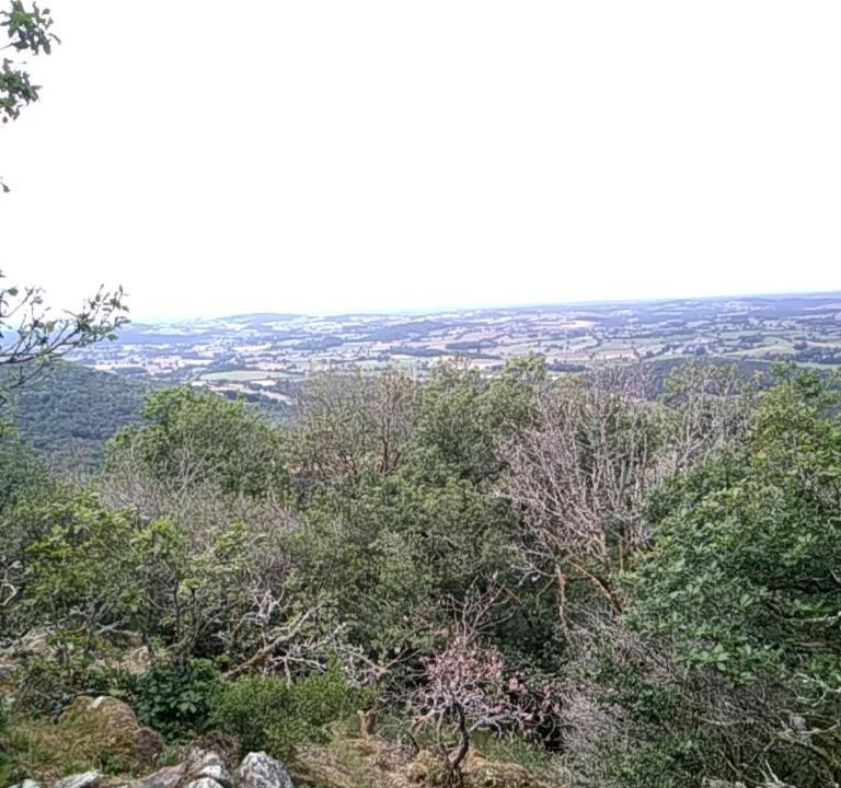Photo of Others in Larochemillay