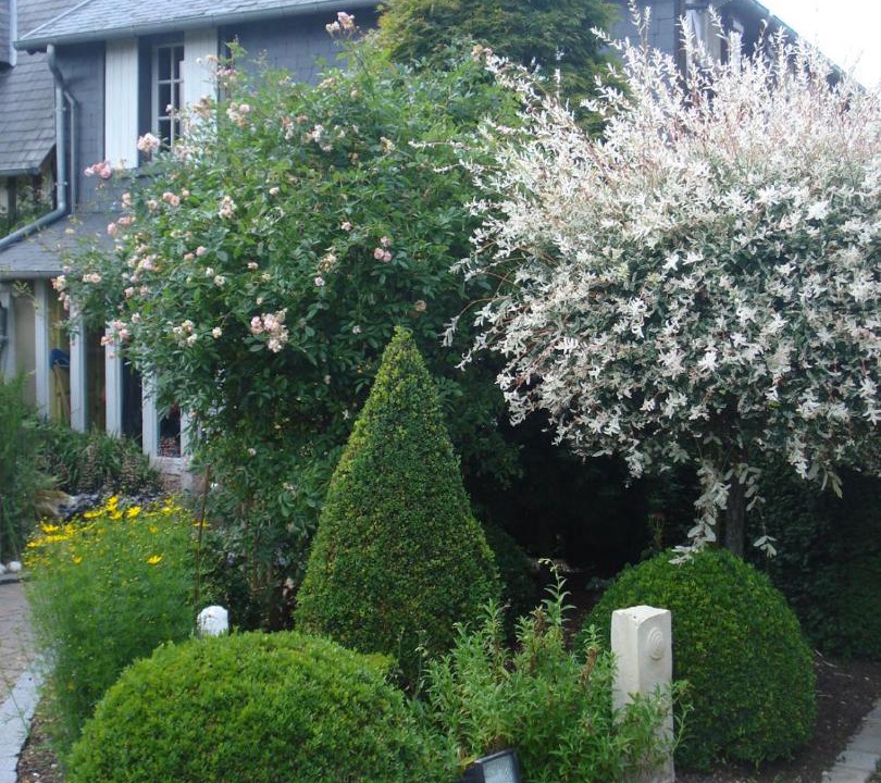 Photo of Others in Saint-Sylvestre-de-Cormeilles