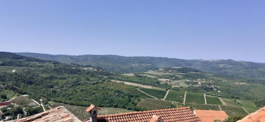 Photo of Others in Motovun