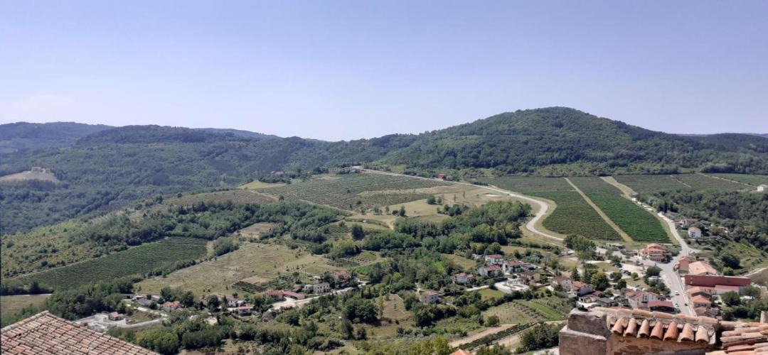 Photo of Outdoor in Motovun