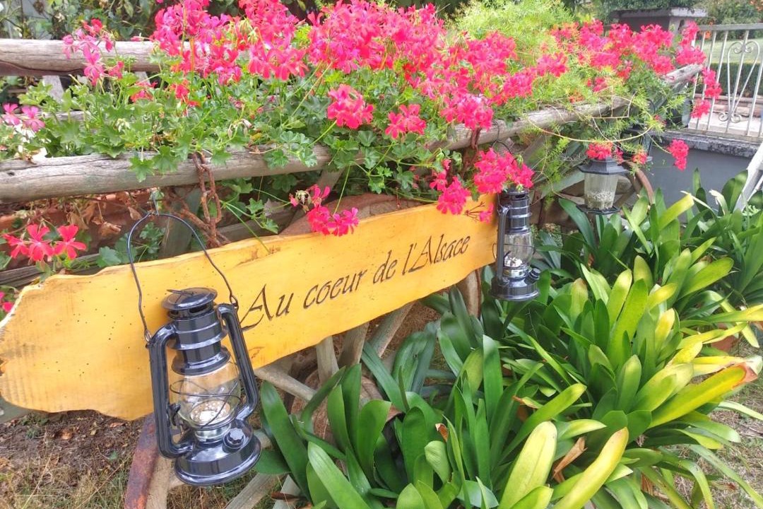 Photo of Outdoor in Eschau