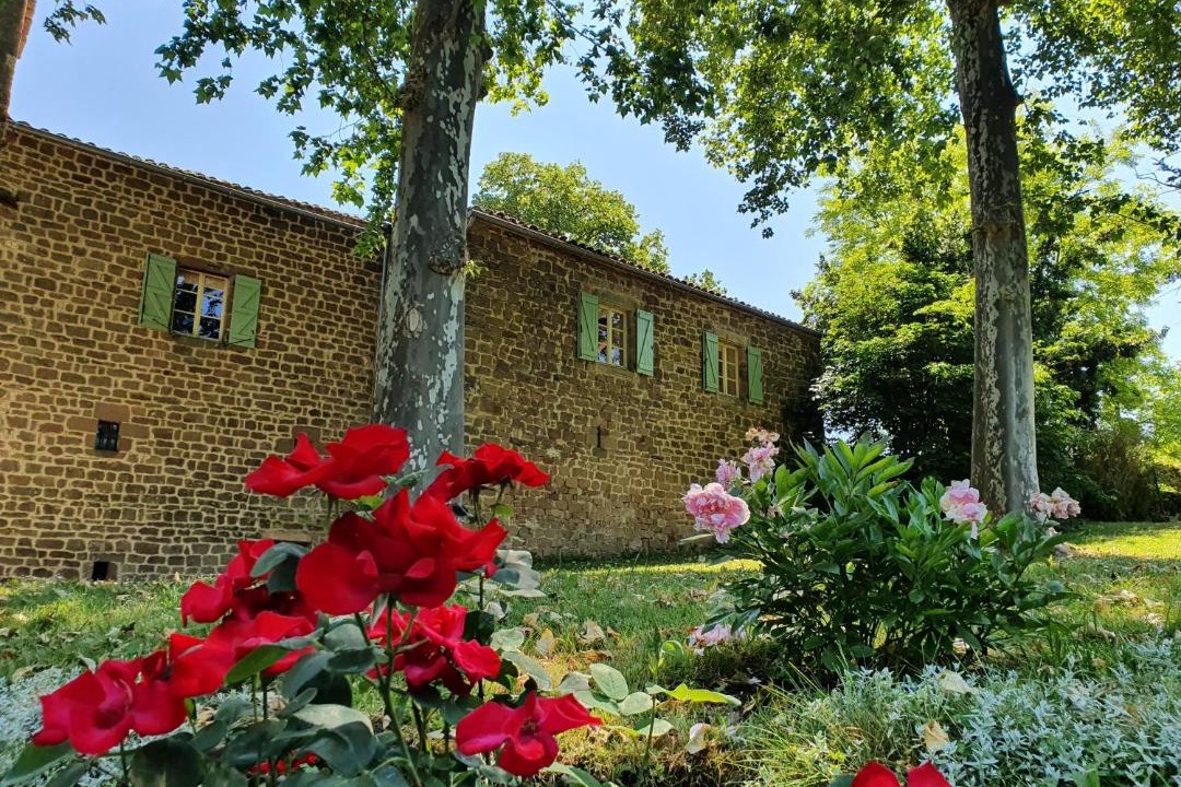 Photo of Others in Saint-Marcel-Campes