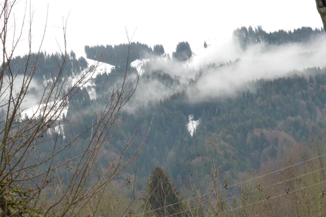 Photo of Others in Morillon