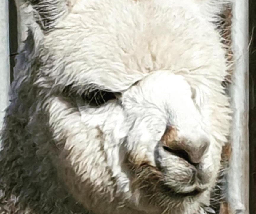 Photo of Others in Dalveen