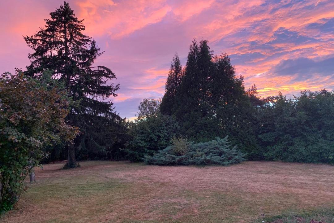 Photo of Others in Vareilles