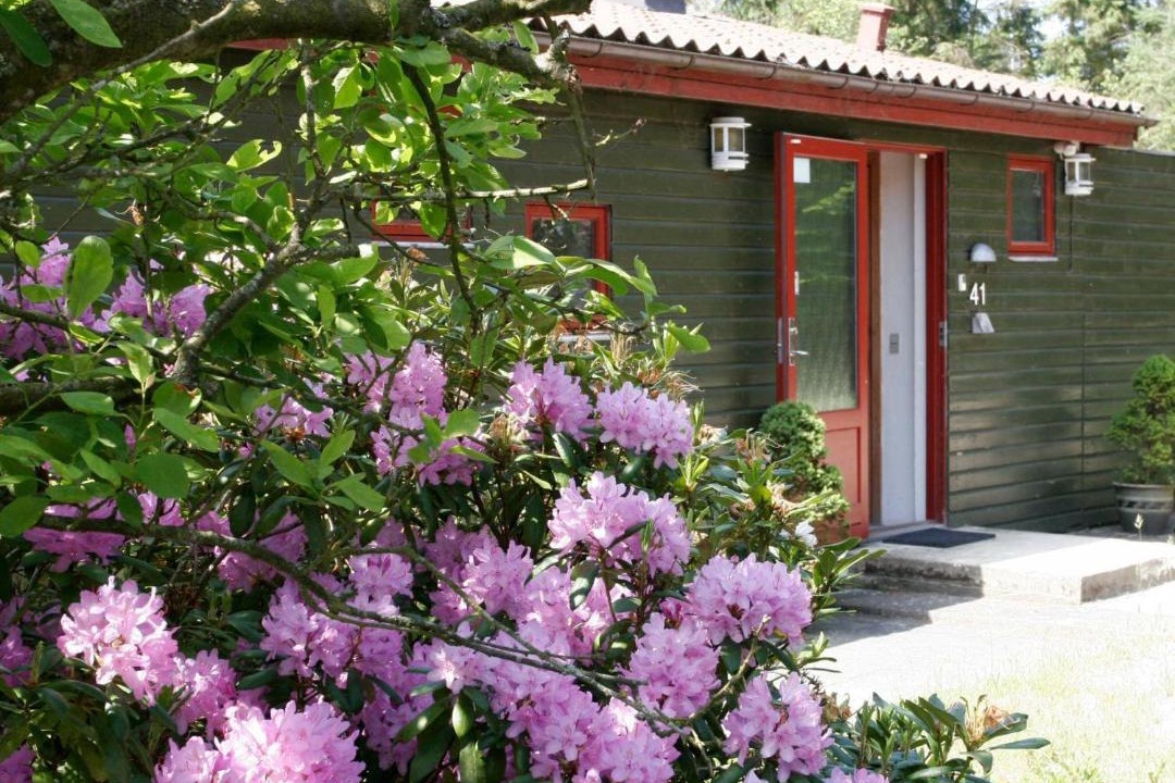 Photo of Others in Skanderborg