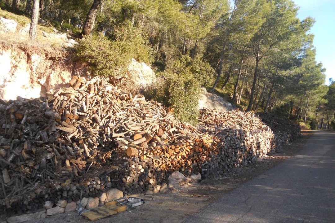 Photo of Outdoor in El Montmell