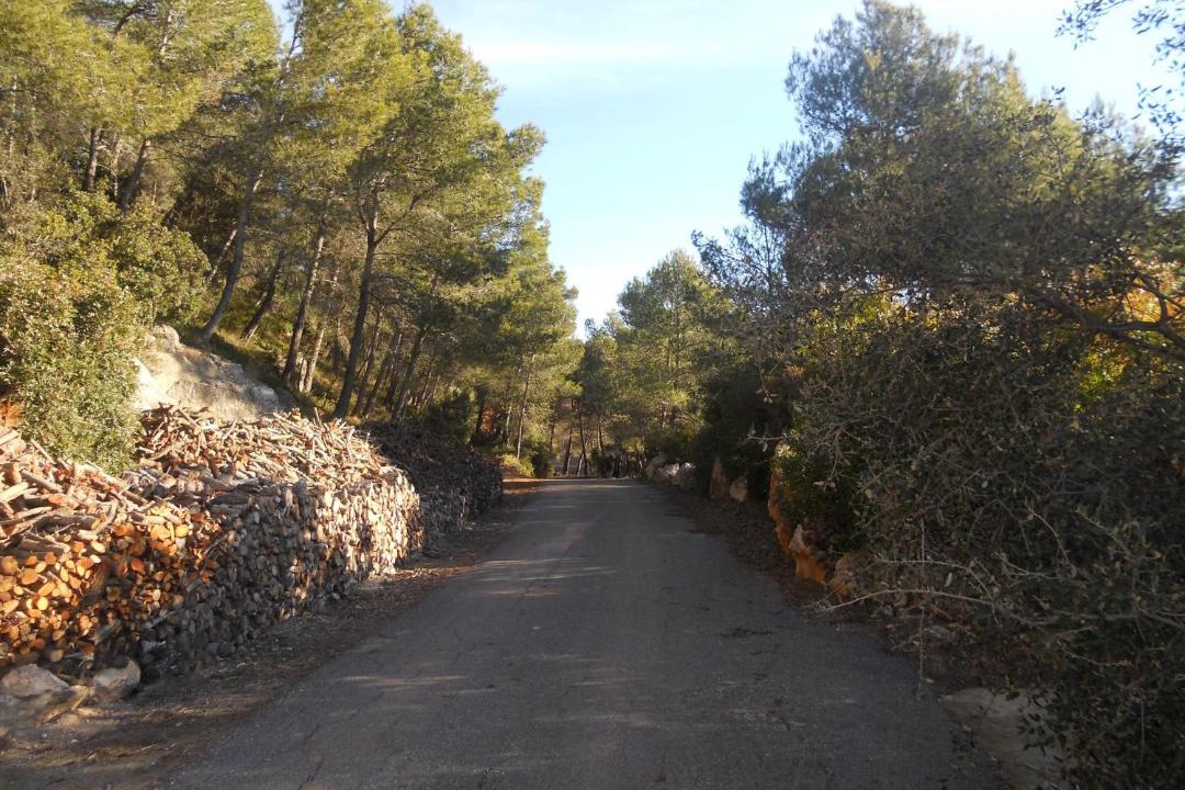 Photo of Outdoor in El Montmell