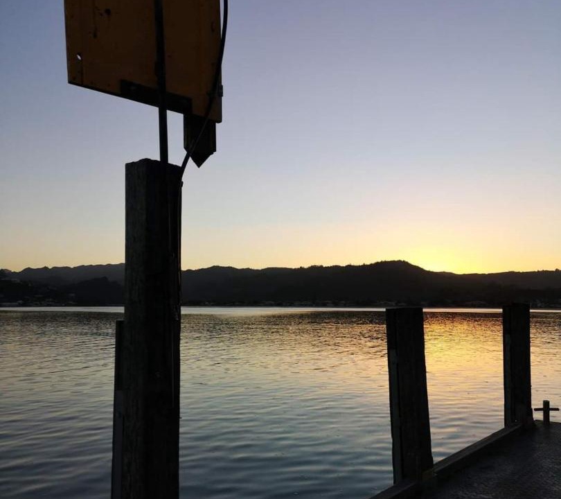 Photo of Others in Tairua